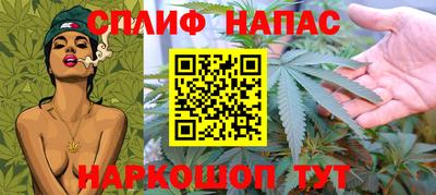 мяу мяу мука Кингисепп