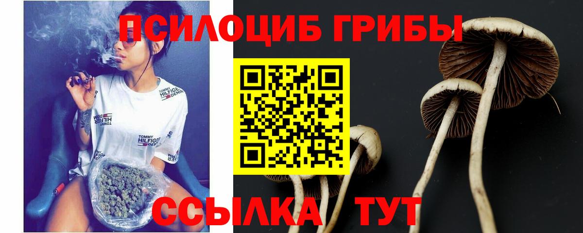 Псилоцибиновые грибы Magic Shrooms  Вход с VPN  Кимовск 